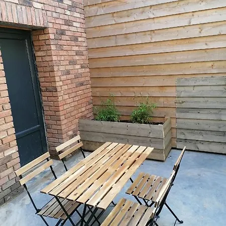 Savane Pres De Pairi Daiza *