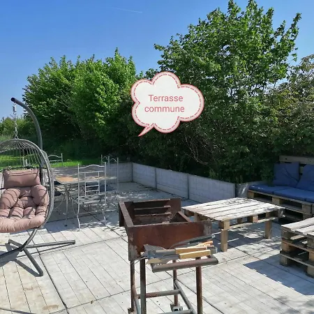 Savane Pres De Pairi Daiza * Brugelette