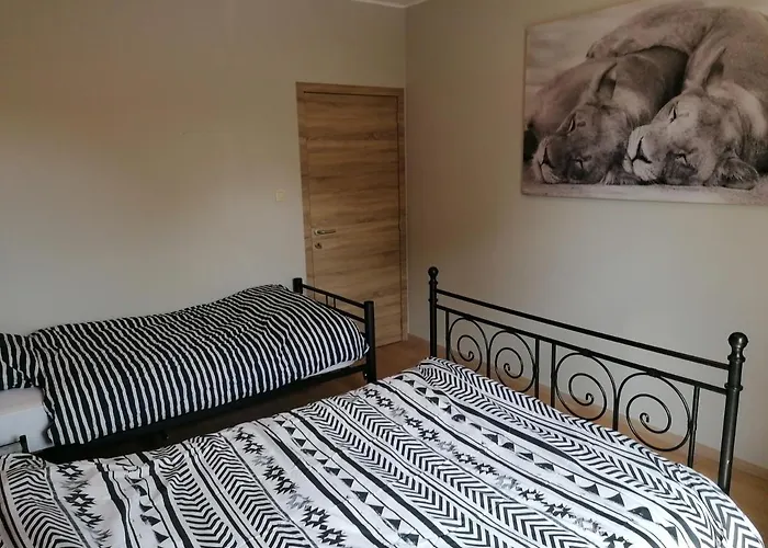 Savane Pres De Pairi Daiza *