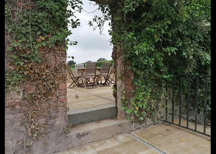 Savane Pres De Pairi Daiza