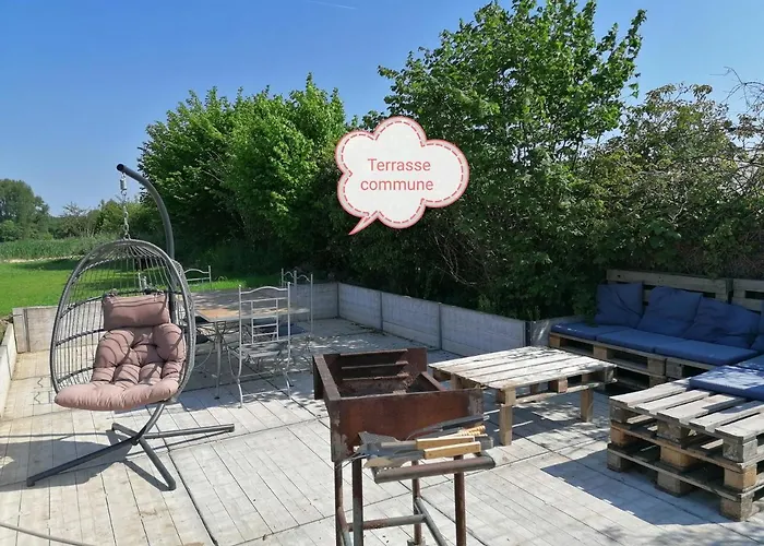 Savane Pres De Pairi Daiza * Brugelette